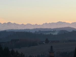 a view of a field with mountains in the background at Atticapartament in Kluszkowce