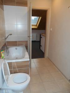 a bathroom with a toilet and a bath tub at Penzion Gerhard Klíny in Klíny +46 photos