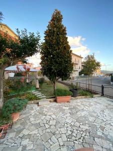 a tree in a courtyard with a stone walkway at Casa il Giardino in Castiglion Fiorentino