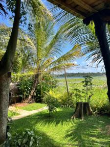 a view of a palm tree from under a house at Lake Face Cabana in Tissamaharama