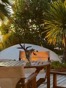 a wooden table and chair with a potted plant on it at Kallmi View - Nature Retreat on the Albanian Adriatic Coast in Durrës
