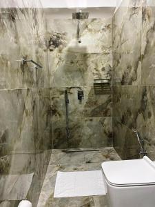 a bathroom with a shower and a toilet at stefanias apartment in Tirana +7 photos