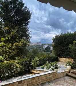 a view of a garden with potted plants at stefanias apartment in Tirana