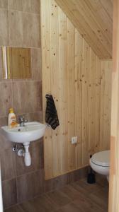 a bathroom with a sink and a toilet at Shambhala in Czarnów