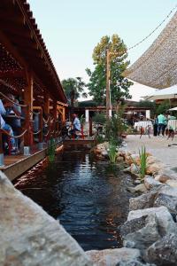 a pond in front of a building with people sitting at L'ALCOVE HOTEL RESTAURANT in Villematier
