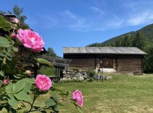 Ein Busch mit rosa Rosen vor einer Hütte in der Unterkunft Sevletunet B&B and Cabins in Rødberg