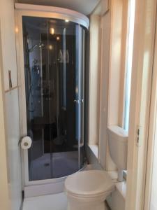La salle de bains est pourvue d'une douche et de toilettes. dans l'établissement Houseboat Westerdok, à Amsterdam