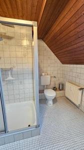 a bathroom with a shower and a toilet and a tub at Ferienwohnung Lippewiesen in Lippetal
