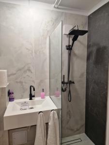 a bathroom with a sink and a shower at Studio Maria in Bucharest