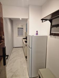 a white kitchen with a refrigerator and a counter at Studio Maria in Bucharest