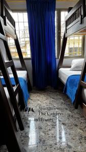a bedroom with two bunk beds and a blue curtain at apartamento thecanarys 1 in Santa Rosa de Cabal