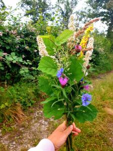 a person holding a plant with flowers on a path at Ferienwohnung Willkommen in Seesen