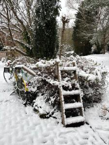 a snow covered garden with a ladder in the snow at Maison d'hôtes des Mondfänger in Meisenthal