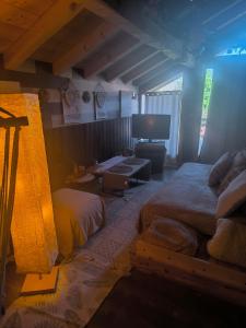 a bedroom with a bed and a tv in it at Chalet des secrets in Lyaud