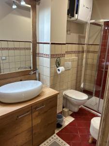a bathroom with a sink and a toilet at Rifugio nella neve in Sestriere +5 photos