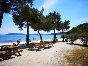 a group of picnic tables on a beach with trees at Studio Istres in Istres +10 photos