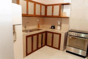a small kitchen with a sink and a refrigerator at Departamento 1 centro de la ciudad in Santo Domingo de los Colorados