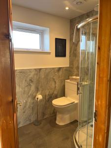 a bathroom with a toilet and a glass shower at The Homer in Kilmuir +22 photos