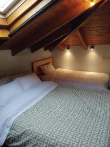 a bedroom with two beds in a attic at Chaido's attic in Larisa