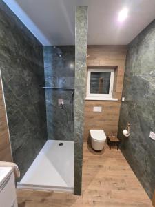 a bathroom with a shower and a toilet at W Olchach - lokal Klon in Wiktorowo +24 photos
