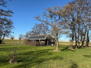 a house with a solar roof in a field at 'T Dijkhuisje - Driehuizen in Driehuizen