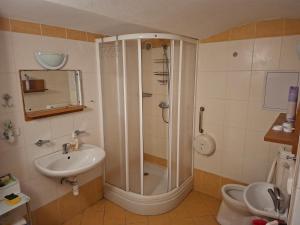 a bathroom with a shower and a sink and a toilet at Chalupa Rumovka in Ostružná