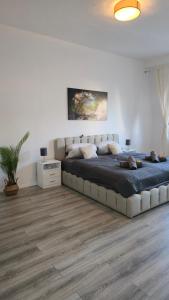 a bedroom with a large bed in a white room at Altstadtnähe Sauna-Infrarot 2 Schlafzimmer in Koblenz