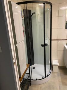 a shower with a glass door in a bathroom at Chez Nanou in Marmagne