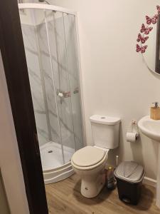 a bathroom with a shower and a toilet and a sink at Habitación para pareja in Salinas