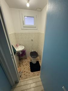 a bathroom with a toilet and a sink at Maison atypique Alsacienne in Kintzheim