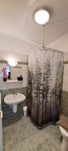 a bathroom with a shower curtain with a toilet and a sink at Villa Maria in Egerszalók