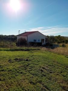 a house in the middle of a field at Dume in Povljana