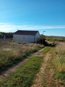a dirt road leading to a building in a field at Dume in Povljana