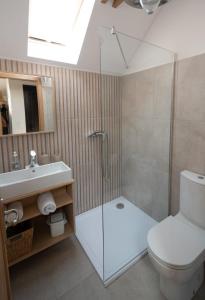 a bathroom with a shower and a toilet and a sink at Vörösdió apartment house in Szilvásvárad +26 photos