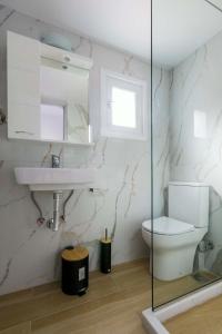 a bathroom with a toilet and a sink and a mirror at Κοχειλα Ματουλα Ενοικιαζόμενα Δωμάτια in Spetses