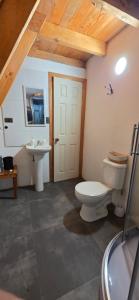 a bathroom with a toilet and a sink at Cabaña Alpina 2 in Coñaripe
