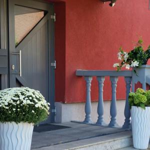 a porch with two white pots of flowers and a door at Apartments by Pension Pale Bach in Bad Hersfeld