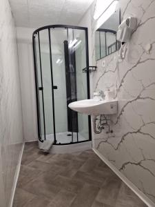 a bathroom with a sink and a shower at Apartments by Pension Pale Bach in Bad Hersfeld +14 photos