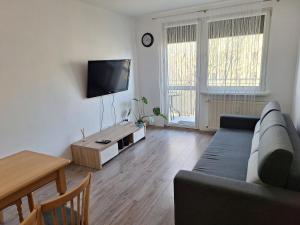 a living room with a couch and a tv at Mała dziupla in Opole
