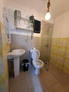 a bathroom with a toilet and a sink and a shower at Hermoso Loft in Santo Domingo +45 photos