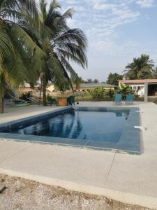a swimming pool with a palm tree next to a house at Jolie chambre, calme, frigo, wifi piscine proche mer,5 mn de Cap Skirring ,proche restau Chez Loulou in Cap Skirring