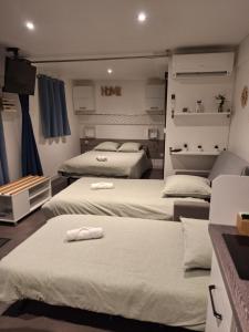 a room with three beds in a room at Maison studio, tiny house, parking privé, jardin in Toul
