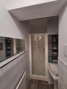 a bathroom with a shower and a sink at Newton House in Torquay +24 photos
