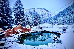 a bridge over a pond in a snow covered forest at Aux lits du bronze Le mole in Mont-Saxonnex