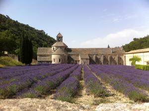 an old church in the middle of a field of lavender at Cabane bambou in Apt