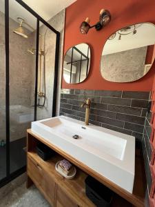 a bathroom with a white sink and a mirror at La coccinelle in Gujan-Mestras +19 photos