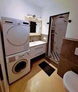 a bathroom with a washing machine and a sink at Varpholt House Apartments & Rooms in Akureyri +57 photos