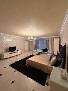 a large bedroom with a large bed and a television at Lily Rose villa in Karlovy Vary