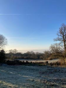 a snow covered field with trees in the distance at Bijou Cabin in Ludlow +5 photos
