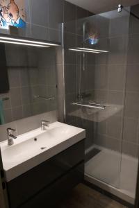 a bathroom with a sink and a glass shower at Le chalet in Oullins +15 photos